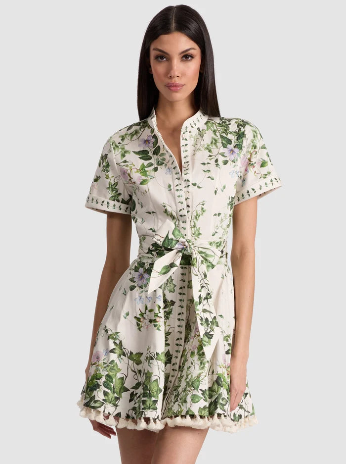 Lucy Roll Sleeve Mini Shirt Dress