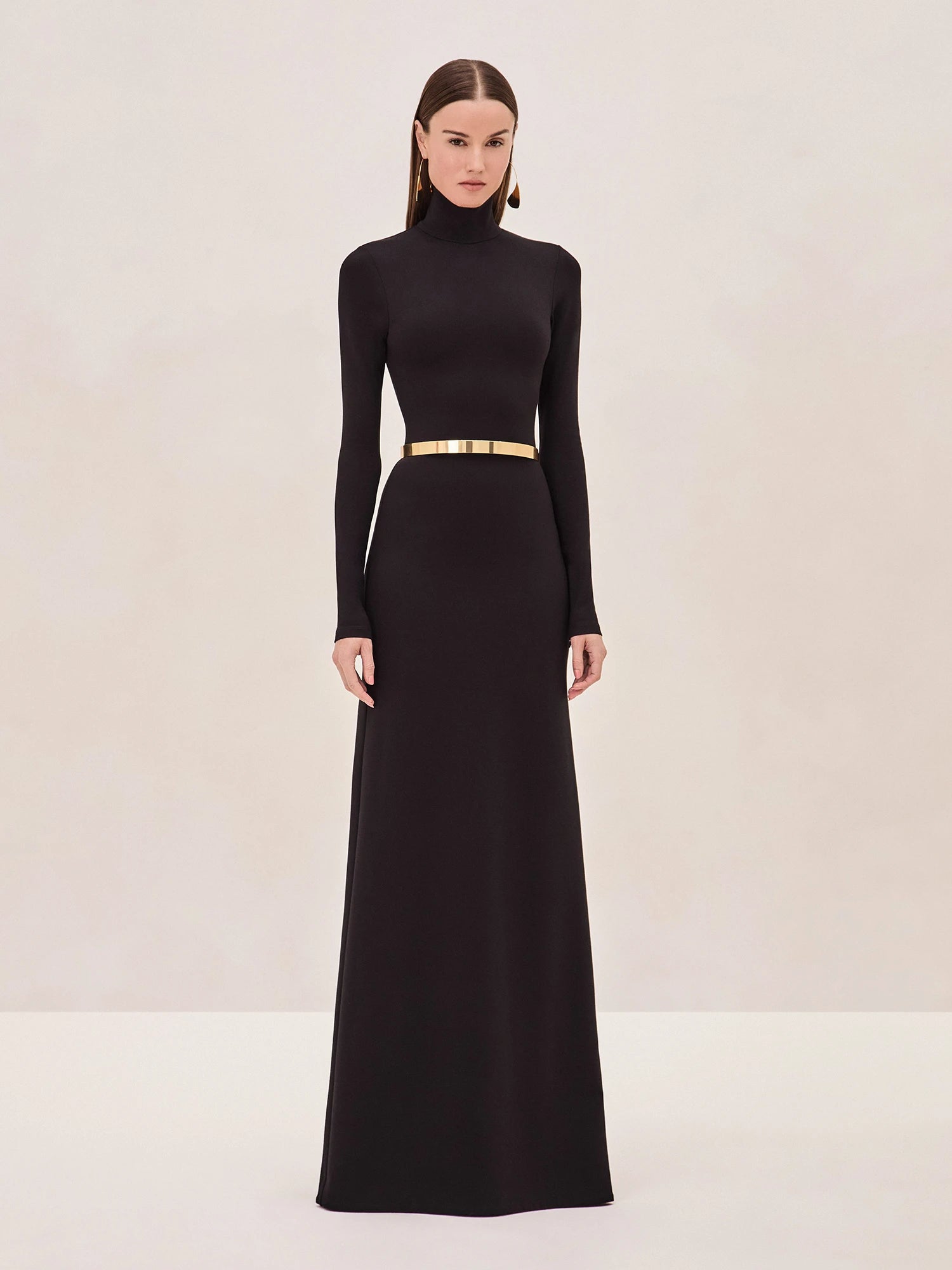 ALEXIS Fenix Dress