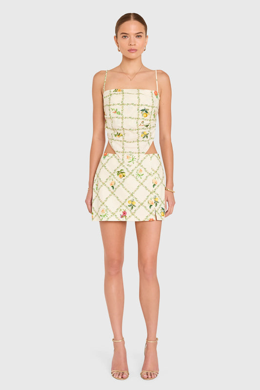 Juna Top in Trellis