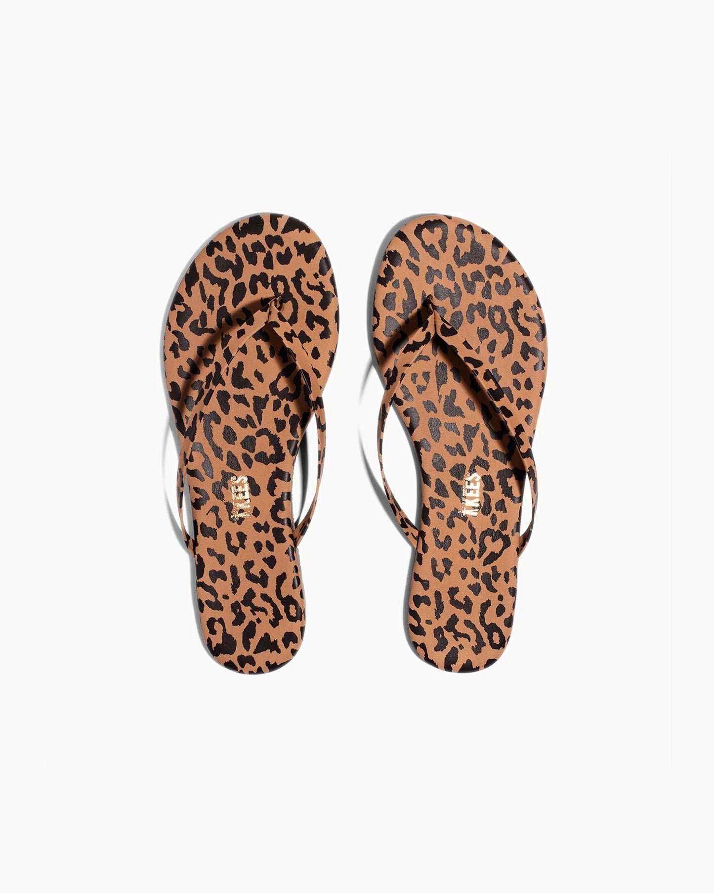 Lily Animal in Cheetah