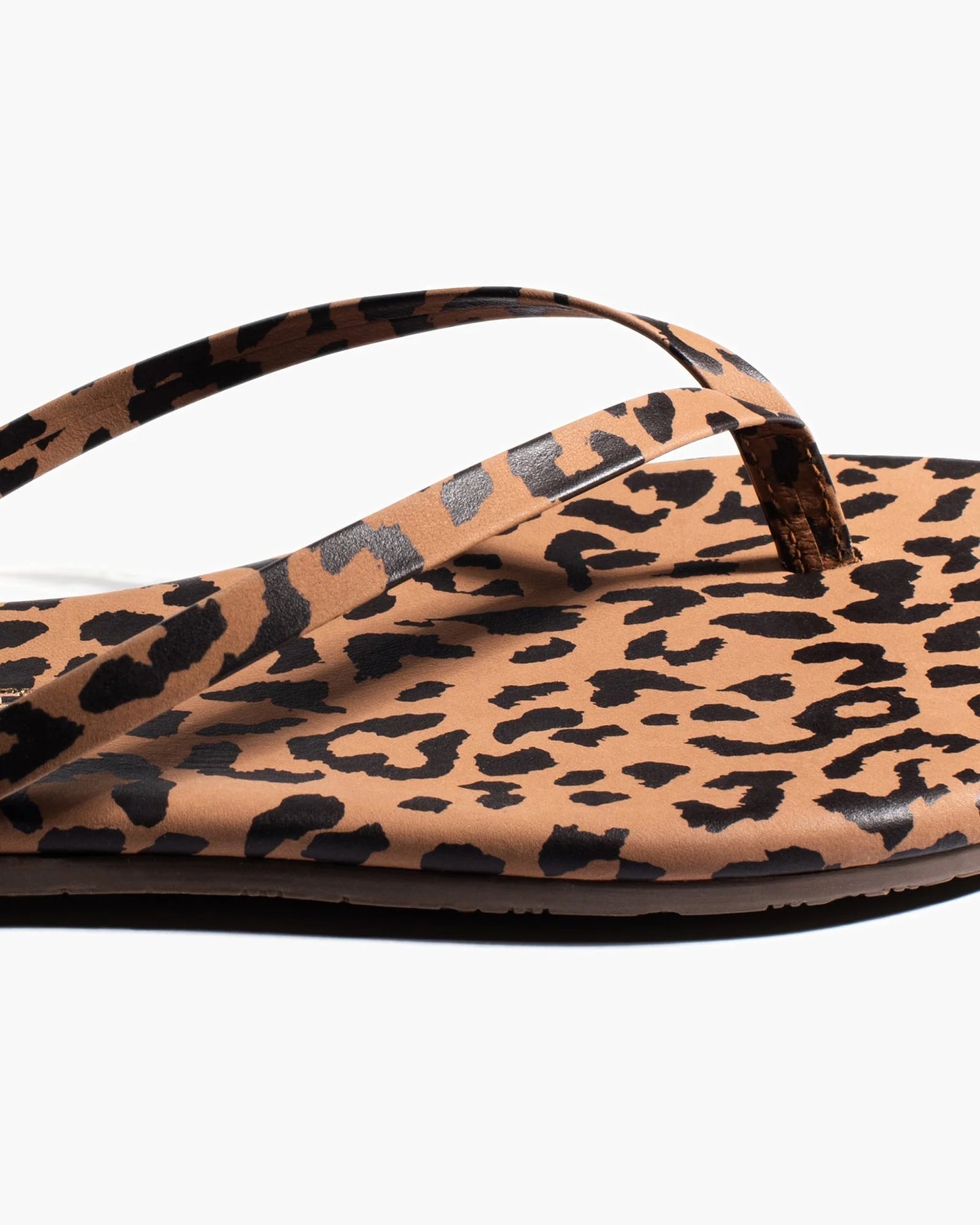 Lily Animal in Cheetah