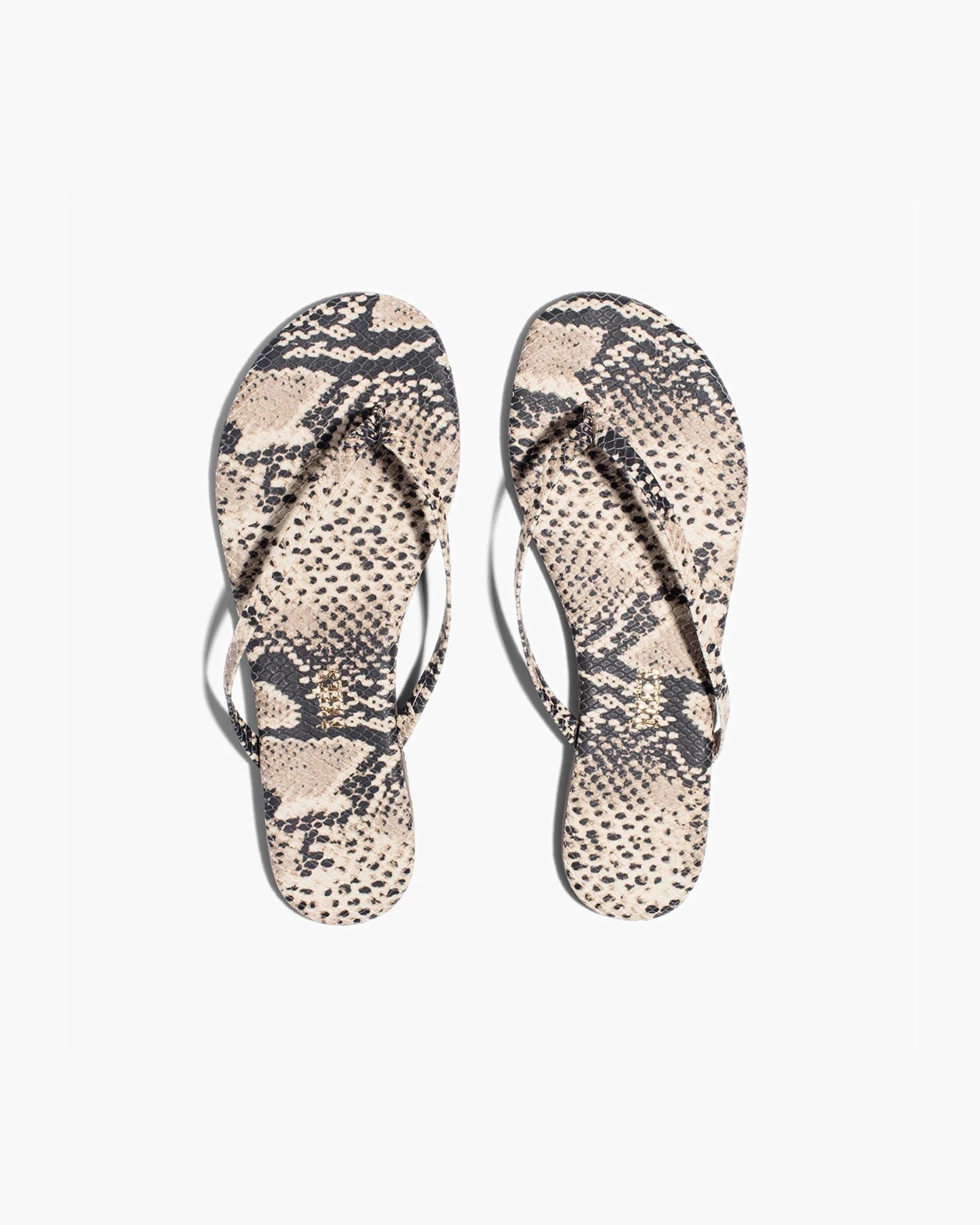 Lily Vegan Animal in Sandnake