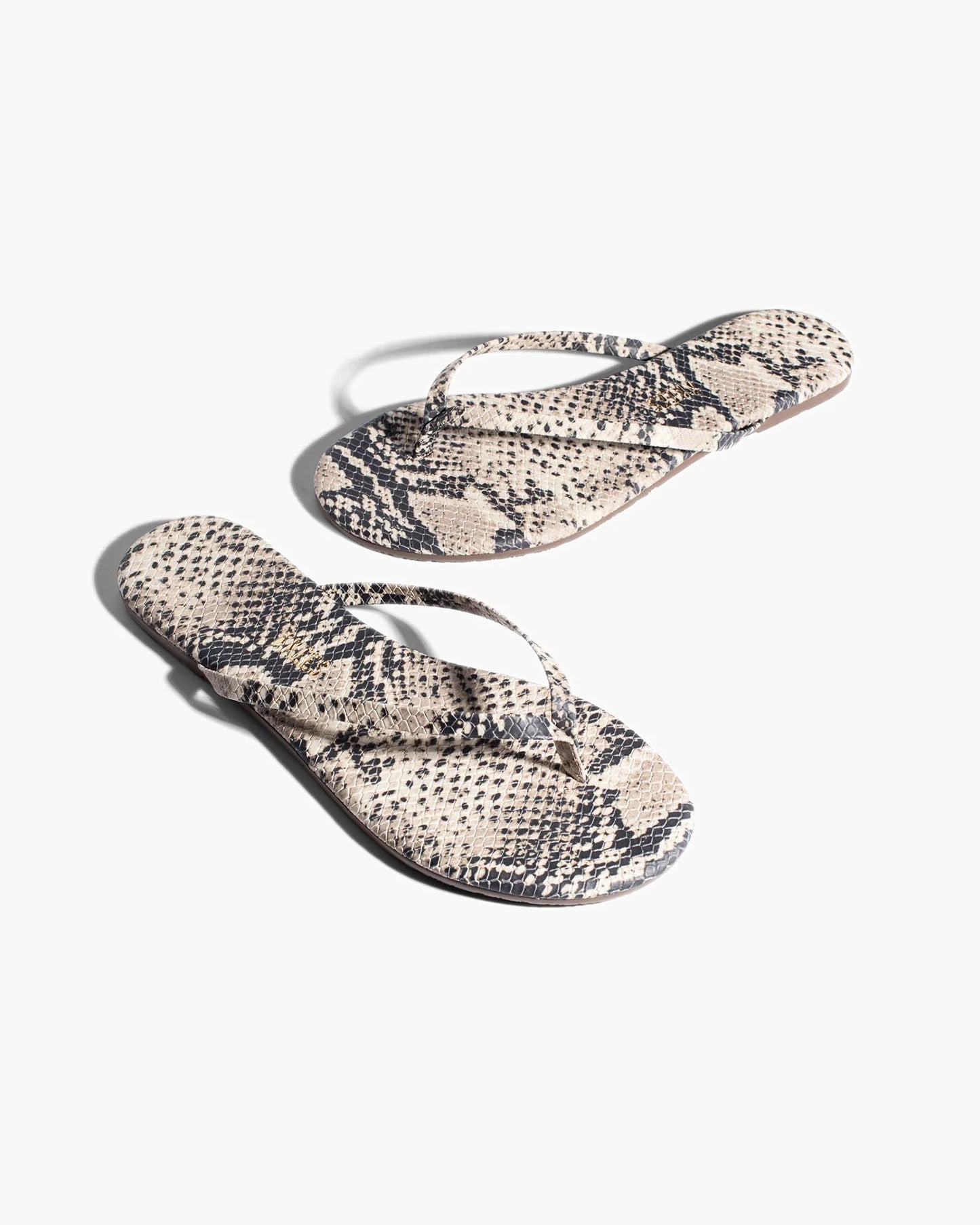 Lily Vegan Animal in Sandnake