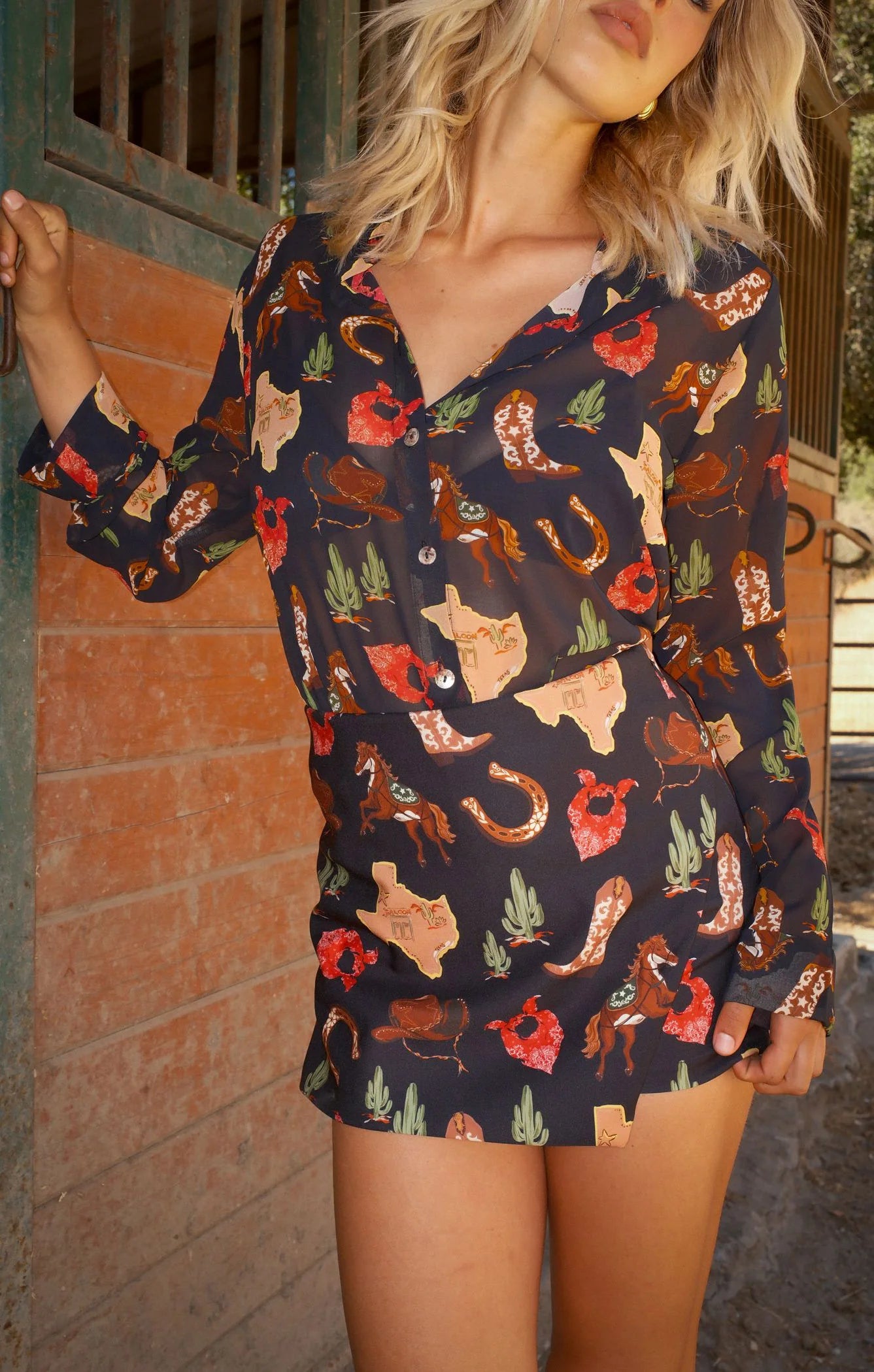 Smith Button Down