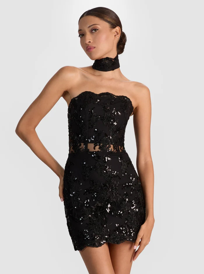 Georgie Embellished Lace Mini Dress