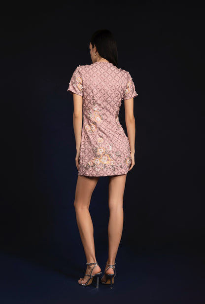 Paola Mini Dress