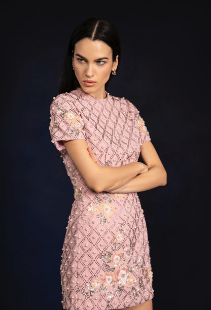 paola mini dress La Fuori Paola Mini Dress in Pink